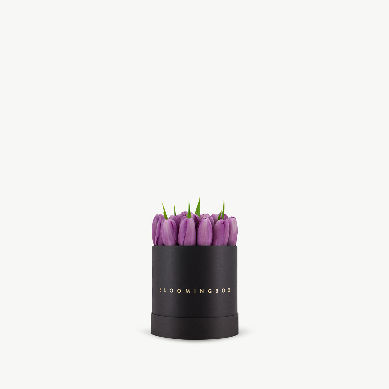 Tulip Box Small - Same Day Delivery